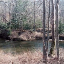 Spring Hike to Aurand's Mill - April 29