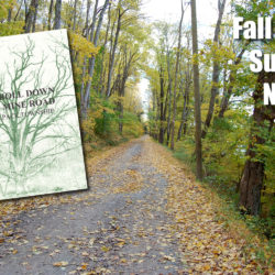 Fall Hike: NOV. 7 at 10am - A Stroll Down Old Mine Road