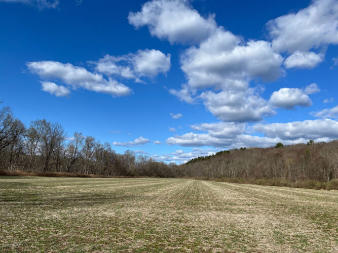 Presentation: Shapanack, a location in Walpack - May 18