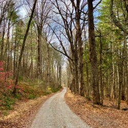 Cancelled: New Years Day Hike - January 1, 2026 at 10:30am, Walpack Center