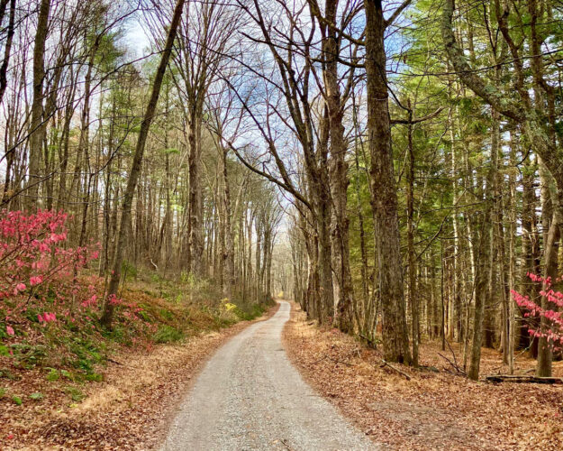 Spring Hike 2026 - April 26